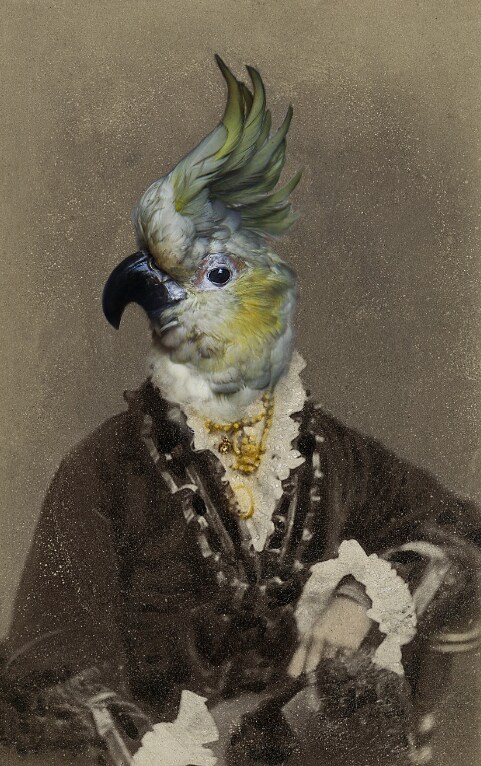 Image 2