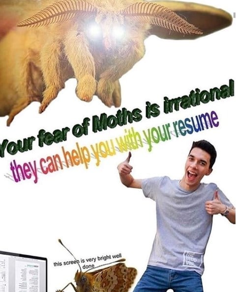 moth memes viral instagram twitter 17