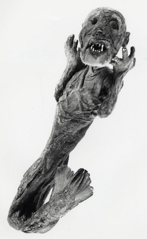 Mummified mermaid 13