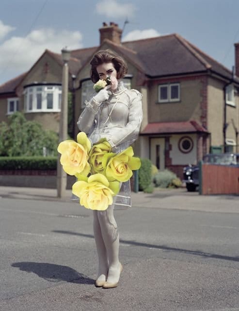 Oh Grateful Colours, Bright Looks IV,2009; Image c