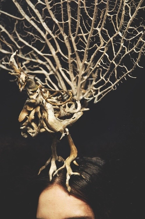Alexander McQueen AW08, &quot;Sarabande&quot;, Dazed Digital 16