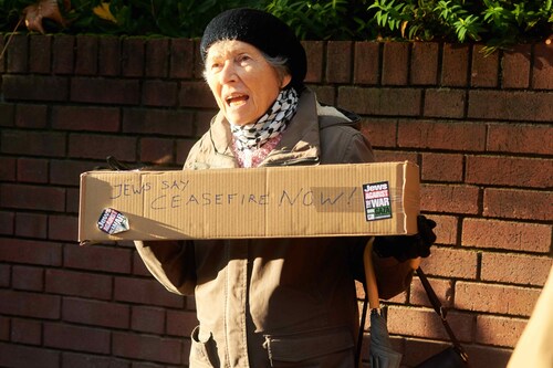 The pro-Palestine march in London on 11 November 2023 | Dazed