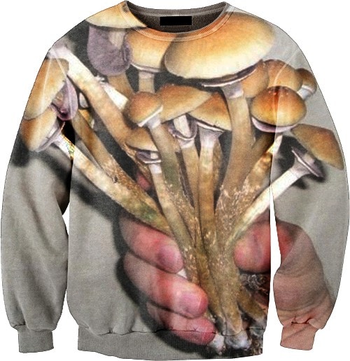tumblr_mc2bo7OqL41r4gk8oo1_500 6