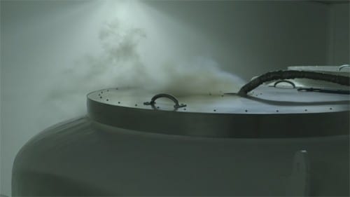 TNK-Phase-2_Naheed-Raza_Production-Still_1-500x281