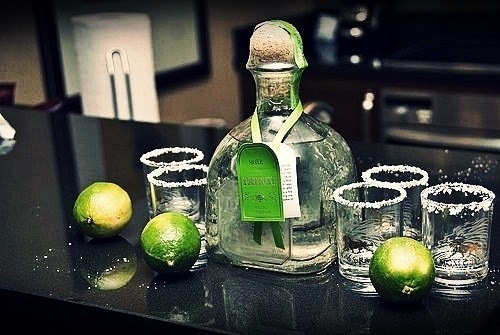 patron