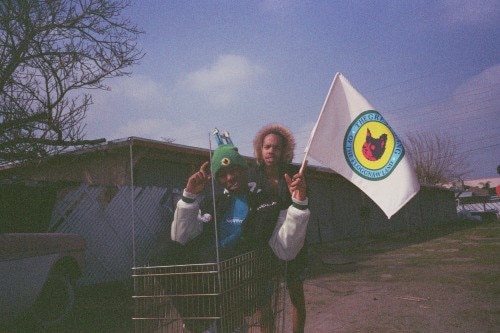 of 2013 earlwolf 13