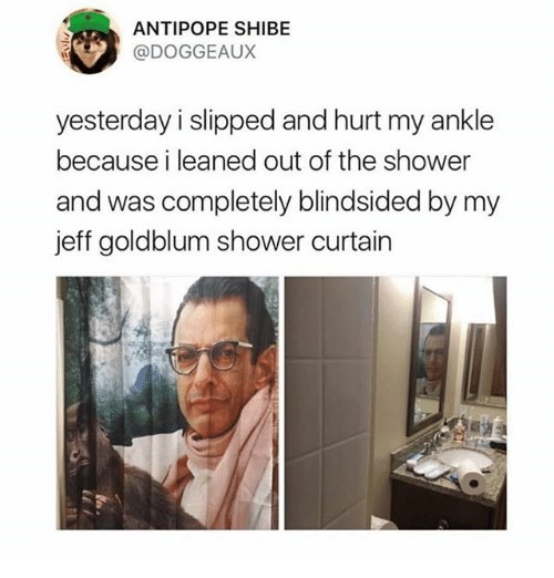 Jeff Goldblum viral shower curtain tweet