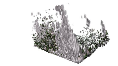 Jelle Feringa for Advanced Beauty 9