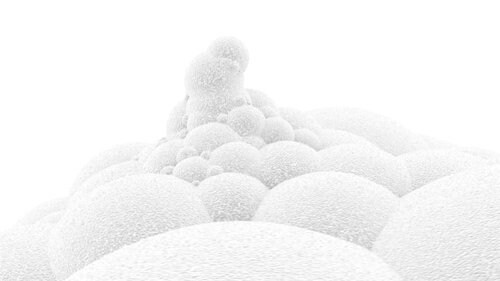 Maxim Zhestkov for Advanced Beauty 6