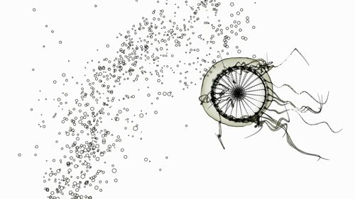 Paul Simpson for Advanced Beauty 4