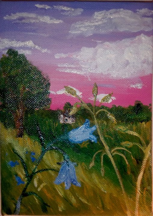 Clare Simmonds - Downley Common 2