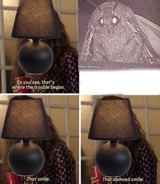 moth memes viral instagram twitter 2