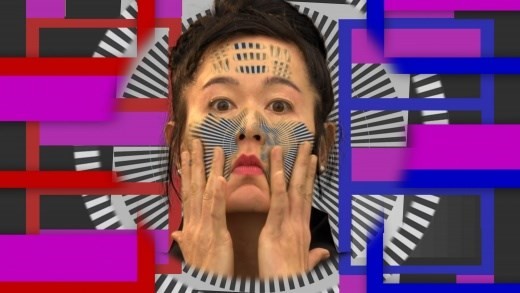 Hito Steyerl, How Not to be Seen