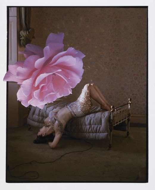 Flow of Excitation: Stage of Unity XV, 2010; Image 8