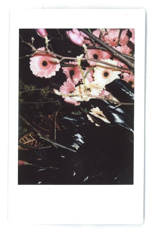 menswear instant film dazed 21