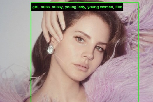 Putting a face-classifying algorithm on Charli XCX, Lana Del Rey, and ...