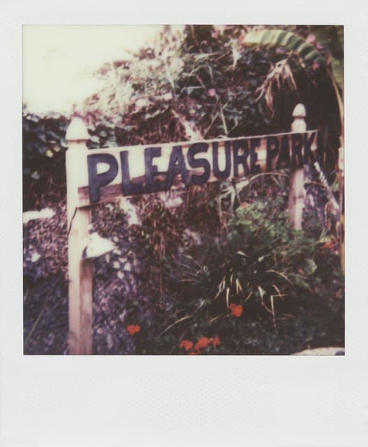 &quot;It&#39;s not just a garden it&#39;s a pleasure park&quot;, 2015 7