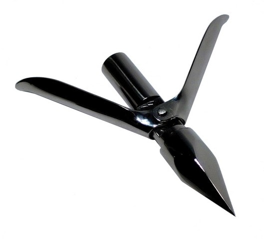 Image 0