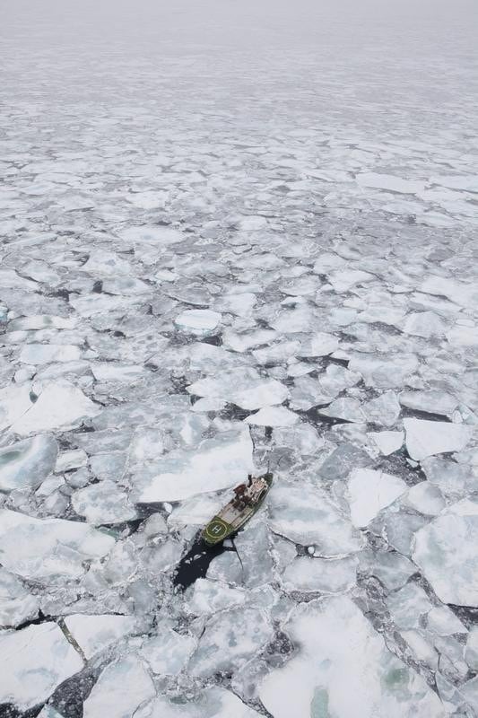 Arctic Sunrise Expedition to Svalbard 8
