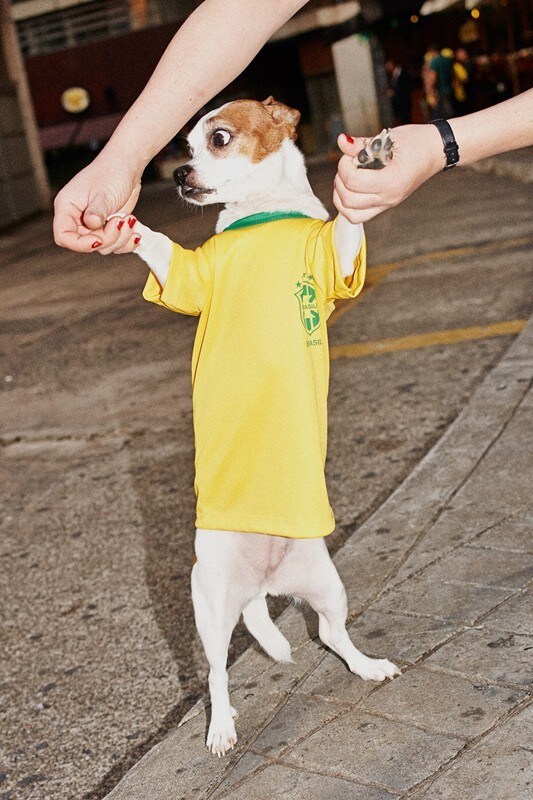 dog brazil eudes 14