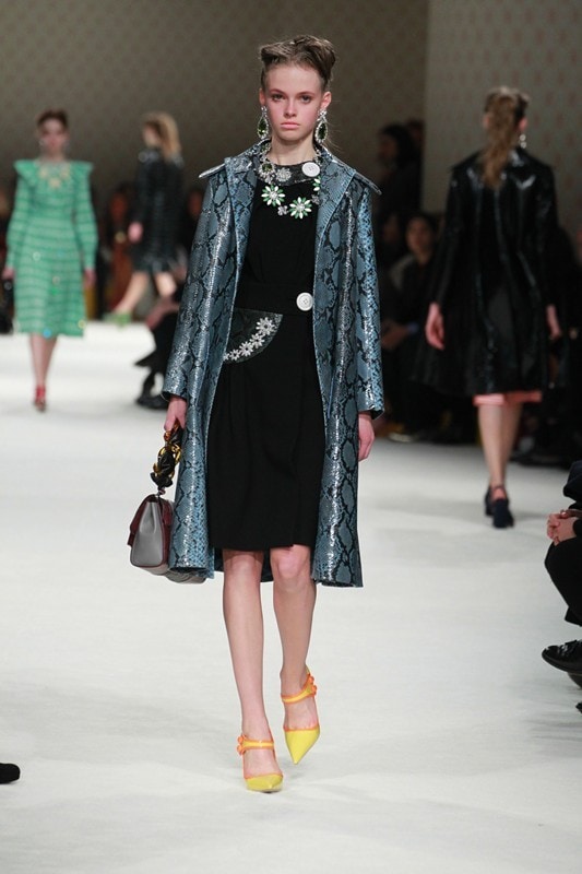Avery Blanchard (IMG) at Miu Miu AW15, Dazed new faces 20
