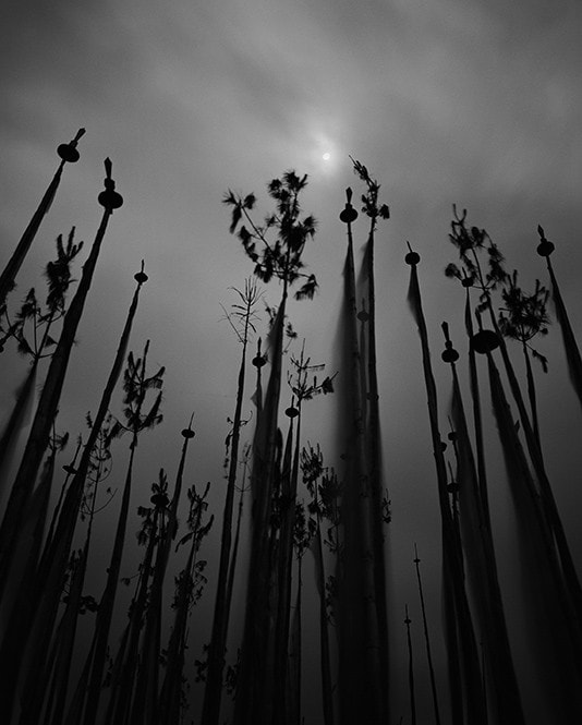 REBORNPlatinum Print Series 11, 2014 Nao TsudaCour 18