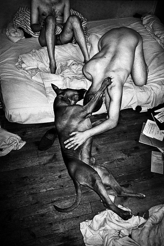 anders petersen &#39;masculine&#39; 15
