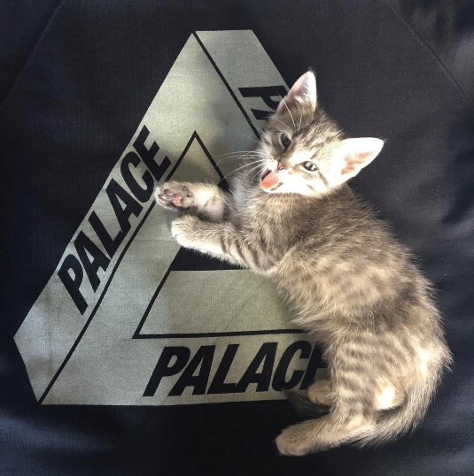 @rafthecat Raf The Cat Instagram streetwear 12