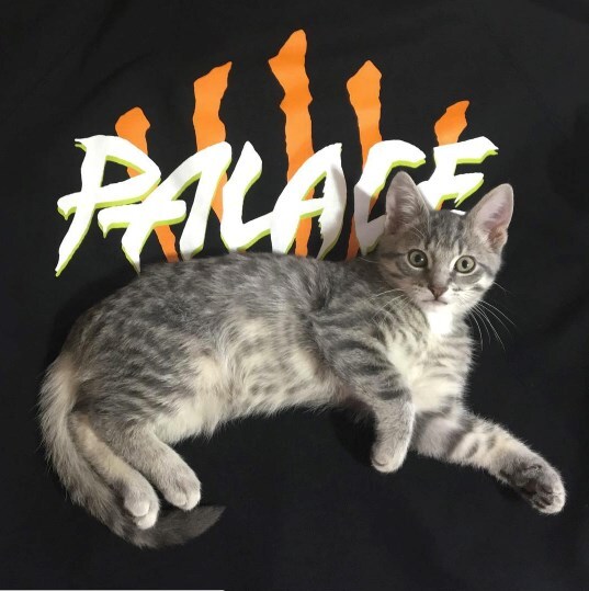 @rafthecat Raf The Cat Instagram streetwear 5