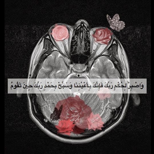 Variant Space Amani alsaad_2 0