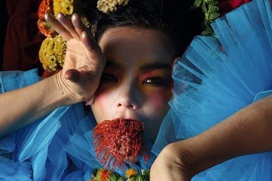 Björk slams Trump, Denmark and colonialism