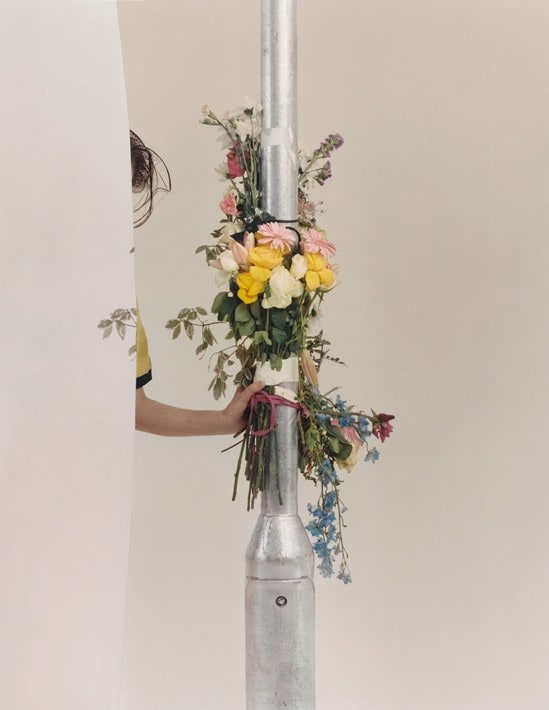 Harley Weir Dazed 100 2