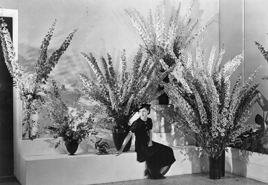 Edward Steichen&#39;s Delphinium Blooms 6