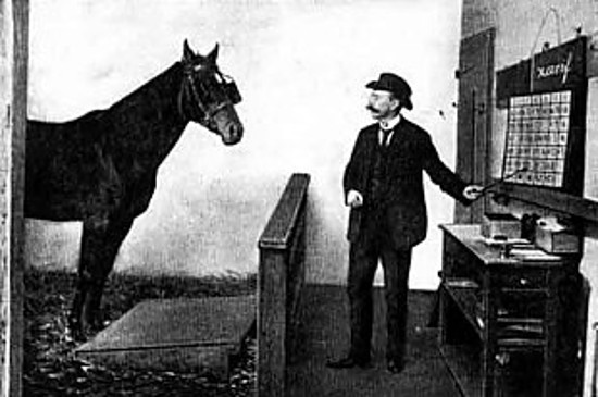 cleverhans