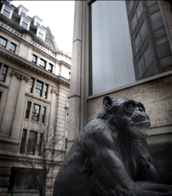 Mimetes Anon, 2009, Alastair Mackie 1