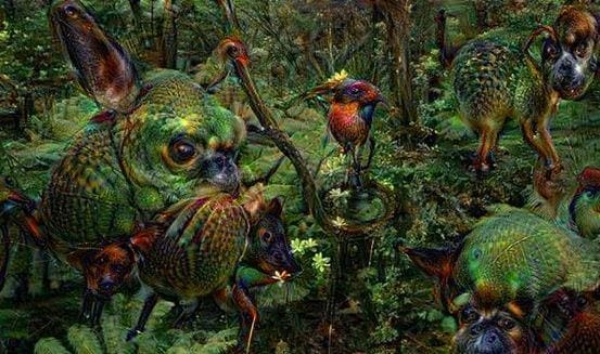 Google deep dream forest 1