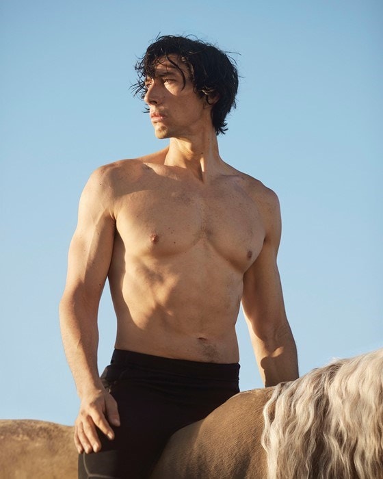 adam driver burberry hero 3