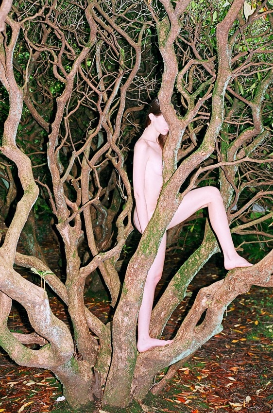 8_DAZED_SYNCHRODOGS 0