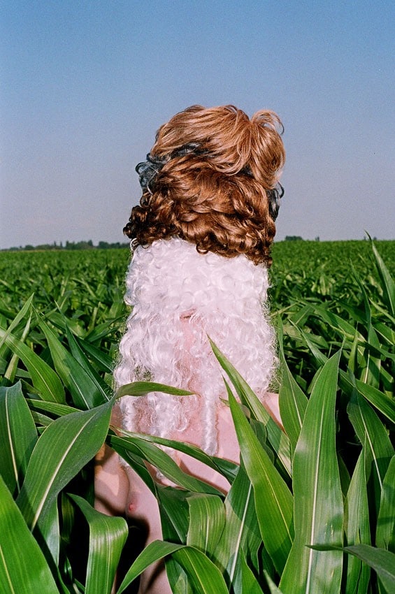 1_DAZED_SYNCHRODOGS 2