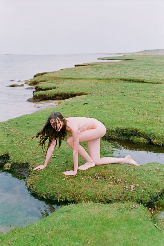 3_DAZED_SYNCHRODOGS 3