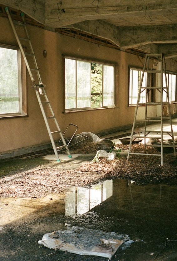 Morgan Quaintance, Interior, (2024) 35mm colour ph 0