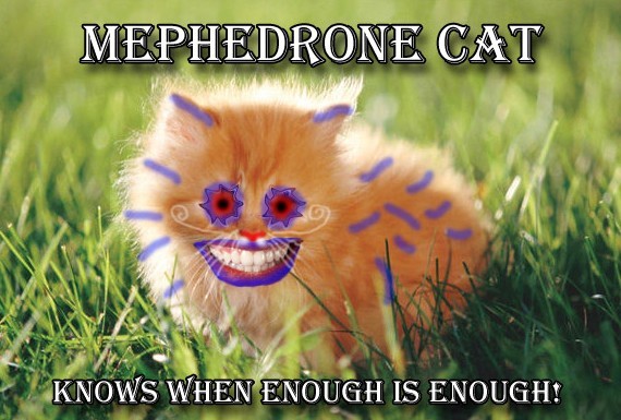 mephedrone-cat_01