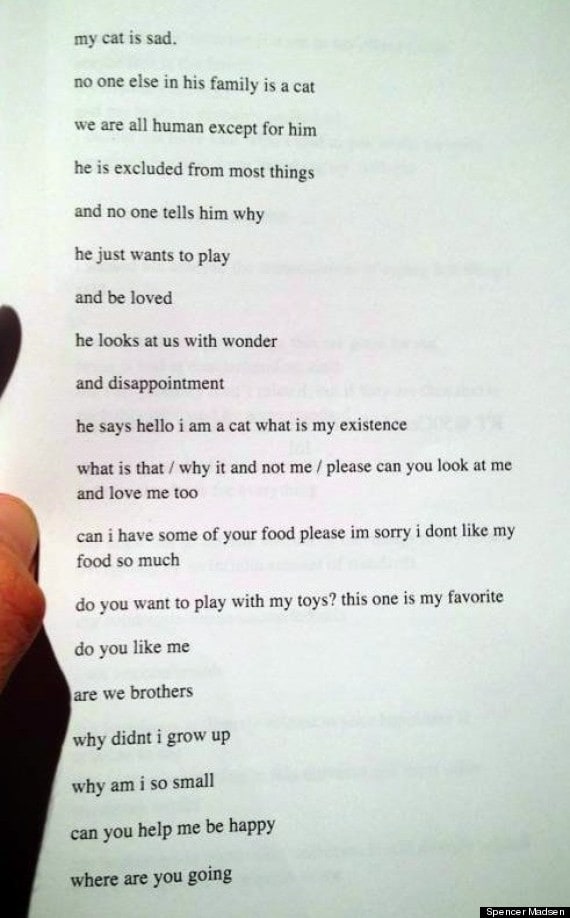 Spencer Madsen untitled poem about a cat