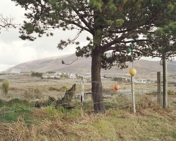 Image 13