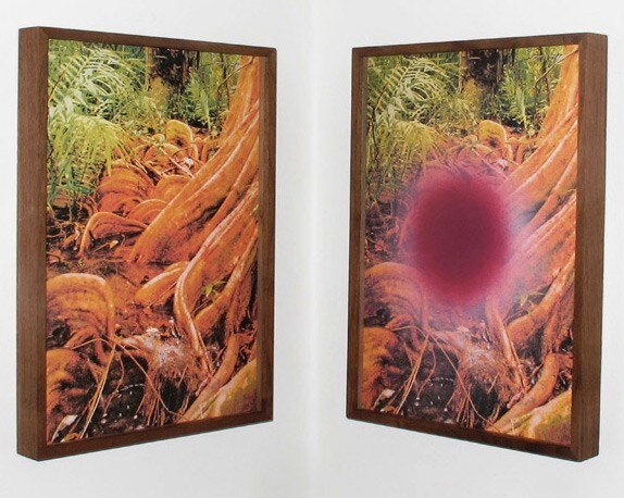 The Book of the Holy Face Series 2