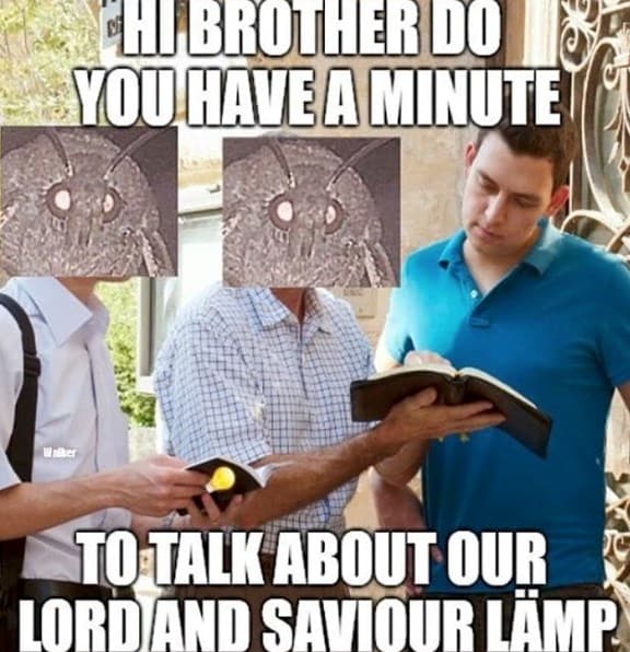 moth memes viral instagram twitter 5