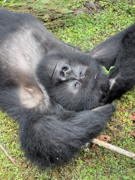 Juergen Teller, You Are Invited, exhibition, Athens, Onassis 7