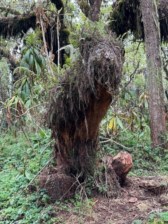 Juergen Teller, You Are Invited, exhibition, Athens, Onassis 8