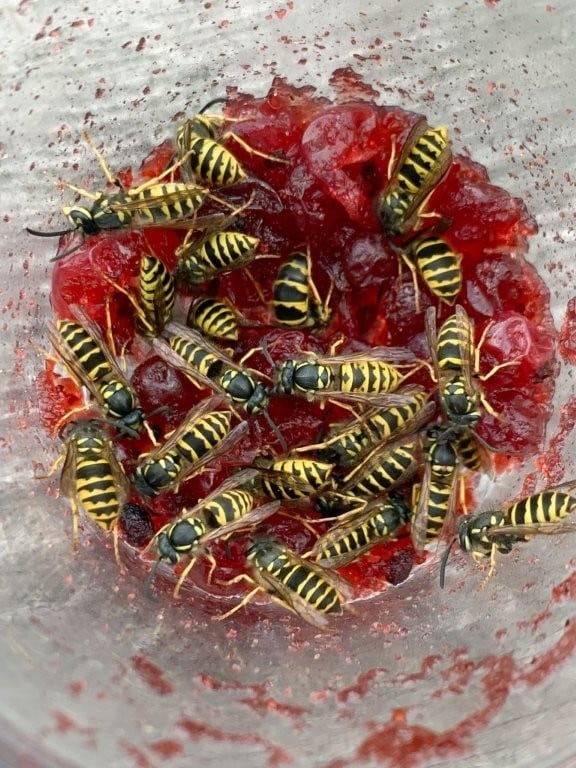 Juergen Teller, You Are Invited, exhibition, Athens, Onassis 14