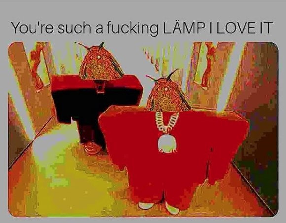 moth memes viral instagram twitter 19